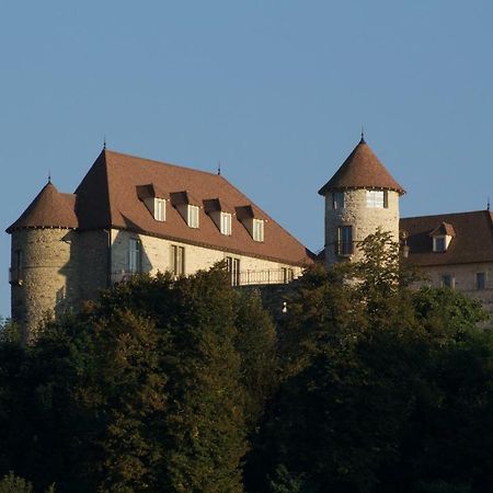 Serezin-de-la-Tour La Tour De Quinsonnas B&B 외부 사진